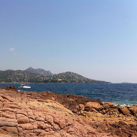 Appt Confort 3 Pieces Avec Terrasse Et Piscine A Saint-Raphael - Fr-1-226A-124 Bagian luar foto